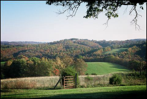 Grazing pasture with scenic OZark Mountains in the background